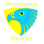 Westgate Wanderers Hawks